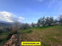 Resim13454